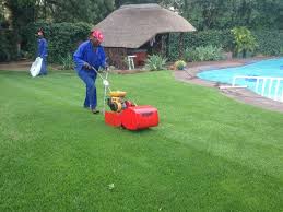 Grass Cutting & Garden Services