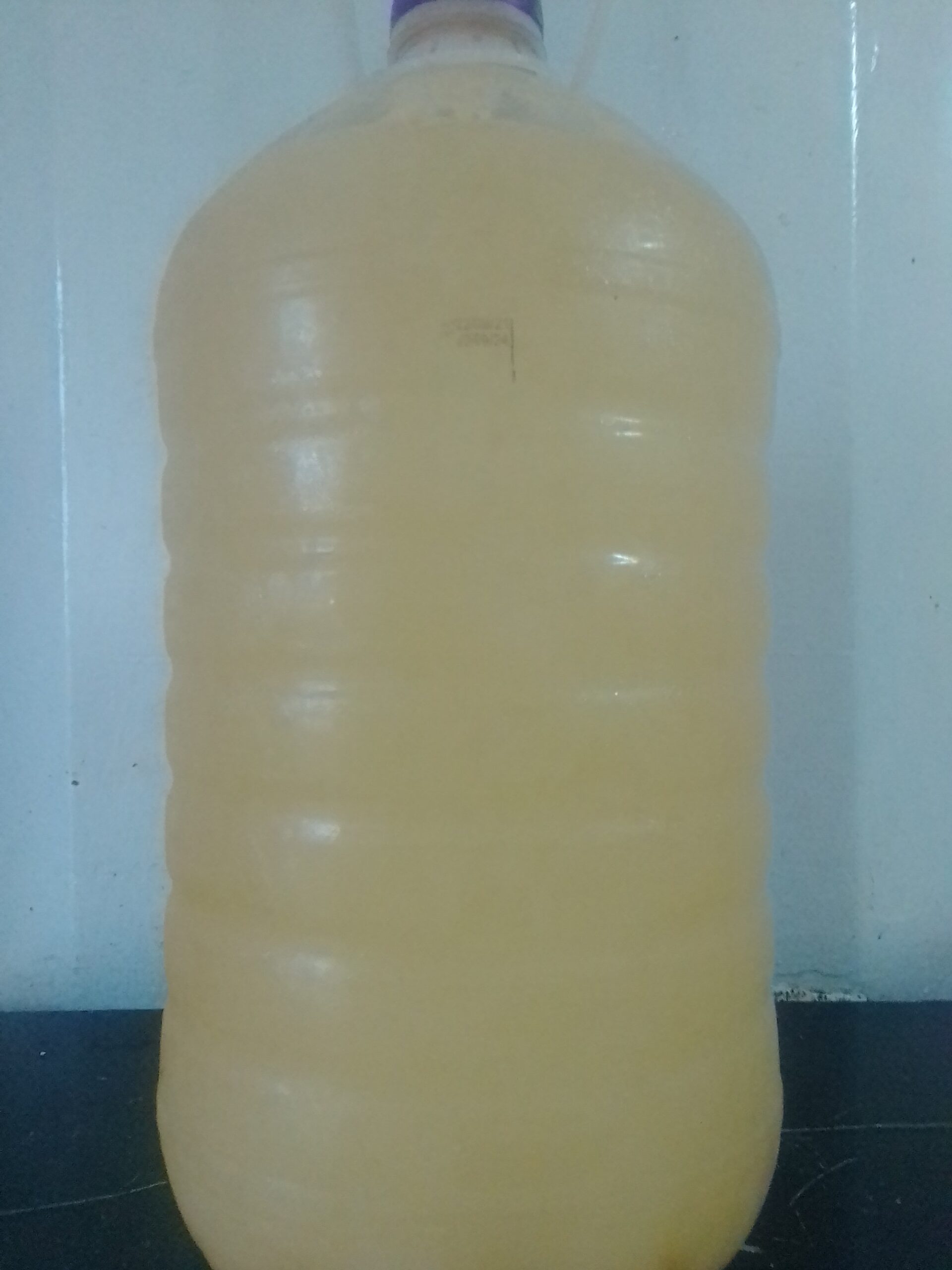 Gidani Africa Sparkling Homemade Ginger