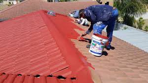 Roof Painting